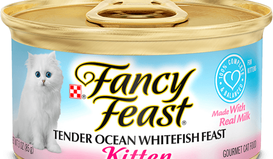 Fancy feast kitten food with milk best sale